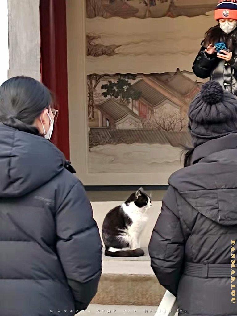 2023 02 05  PEKIN - WANSHOU TEMPLE LONGEVITE BIENVEILLANCE (7).jpg